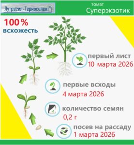 суперэкзотик